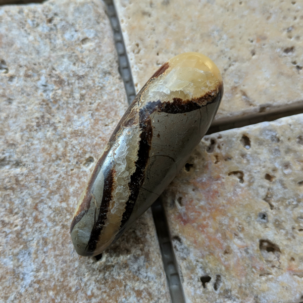 Septarian Nodule Wand~crsnwd01 – Earthspeak