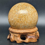 Dinosaur Bone Sphere~CRFDINO4