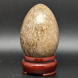 Dinosaur Bone Egg Shape~CRFDINO2