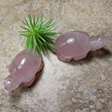 Cat's Eye Rose Quartz Turtle~CRCERQTR