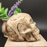 Cave Calcite Skull~CRCAVSKL