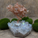 Angel Aura & Peach Moonstone Gem Tree~CRAAPMGT