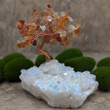 Angel Aura & Carnelian Gem Tree~CRAACNGT