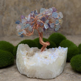 Angel Aura & Fluorite Gem Tree~CRAAFLGT