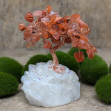 Angel Aura & Carnelian Gem Tree~CRAACAGT