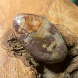 Petrified Wood Palm Stone~CRPTWPS2