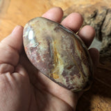 Petrified Wood Palm Stone~CRPTWPS2