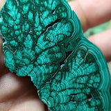 Malachite Slab~CRMALAS3