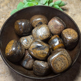 Tumbled Bronzite~TUMBRONZ