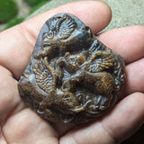 Tiger Eye "When Pigs Fly" Carving~CRCRV145