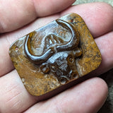 Tiger Eye "Longhorn" Carving~CRCRV115