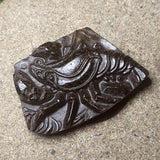 Tiger Eye "Rock Lobster" Carving~CRCRV161