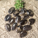 Volcanic Agate Palm Stones~CRVALAPS