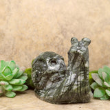 Jade Snail Skull Carving~CRJADESS