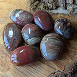 Petrified Wood Palm Stone~Small~CRPTWPSS