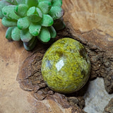 Green Opal Palm Stone~CRGOPS03