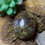 Green Opal Palm Stone~CRGOPS04