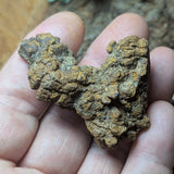 Dino Poop~ Coprolite~CRFCDP07