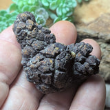 Dino Poop~ Coprolite~CRFCDP13