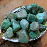 Tumbled Variscite~TUMVARI