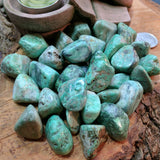 Tumbled Variscite~TUMVARI