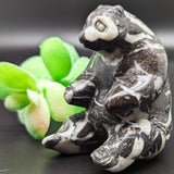 Shell Marble Panda~CRSHMPAN