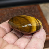 Tiger Eye Palm Stone~Large~CRTEPALM