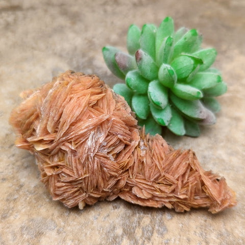 Barite Crystal Specimen~CRBARS16