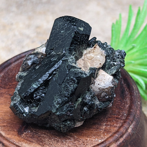 Titanite & Augite Specimen~CRTIAUGS