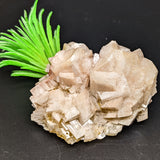 Dolomite Specimen~CRDOLOMI