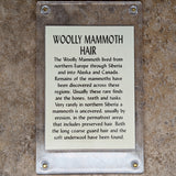 Wooly Mammoth Hair~CRFWMAMH