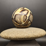 Septarian Nodule Sphere~CRSNPH04