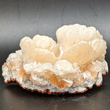 Stilbite Specimen~CRSTIL12