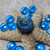 Labradorite Ammonite Carving~CRLABAC4