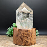 Quartz Crystal in Wood Stand~CRQCWS02