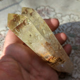 Citrine Tantric Twin Crystal in Wood Branch Stand~CRQCWS13