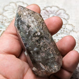 Lodolite Quartz Crystal in Wood Branch Stand~CRQCWS22