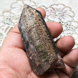 Lodolite Quartz Crystal in Wood Branch Stand~CRQCWS22