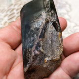 Lodolite Quartz Crystal in Wood Branch Stand~CRQCWS23