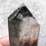 Lodolite Quartz Crystal in Wood Branch Stand~CRQCWS26