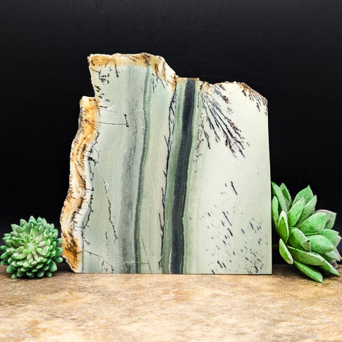 Dendritic Sage Green Jasper Slab~CRDSGJSB