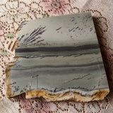 Dendritic Sage Green Jasper Slab~CRDSGJSB