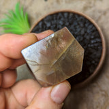 Black Hematitic Sunstone Faceted Gem~CRBHSG03